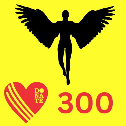 300 donation voucher for the Angels of Light performance